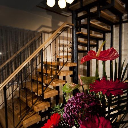 Pension Casa Gia Клуж-Напока Екстериор снимка